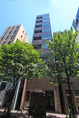 ドゥーミラン銀座ビル 外観