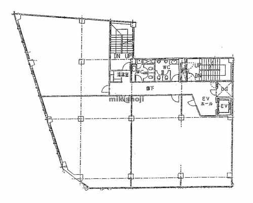 長野市全域の長栄第１ビル 平面1