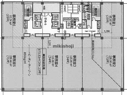 松山市のｄ＿ｌｌ　ＭＡＴＳＵＹＡＭＡ 平面1