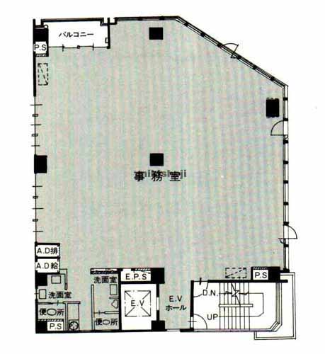 ニュー関口ビル 平面1