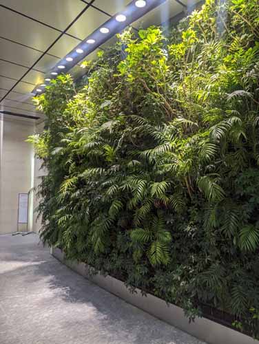 一番町平和ビル エントランス1