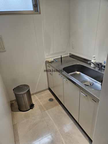 オフィスニューガイアセレス赤坂門Ｎｏ.１９ 水回り1