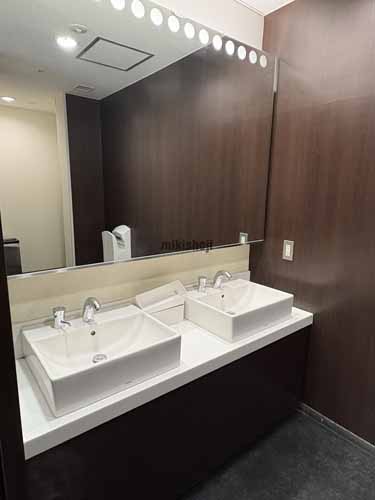 スフィアタワー天王洲 水回り5