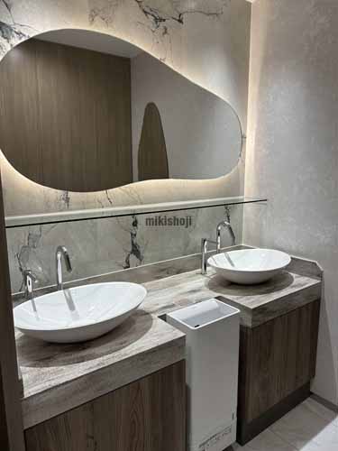 いちご本郷三丁目ビル 水回り1