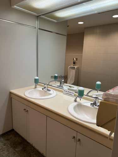 Ｓ＆Ｓ ＢＵＩＬＤＩＮＧ（Prime Gate飯田橋） 水回り4