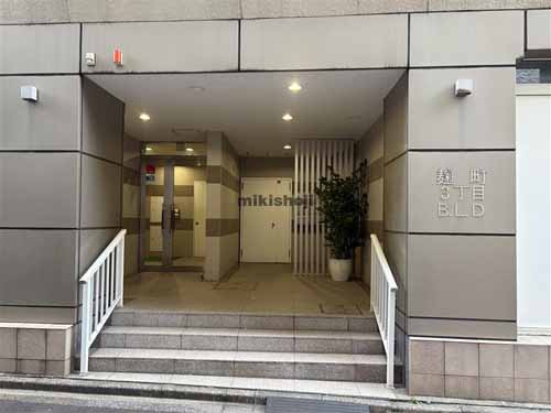 麹町の麹町３丁目ビル エントランス1