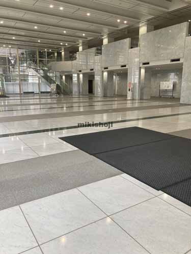 本駒込の文京グリーンコートセンターオフィス エントランス2