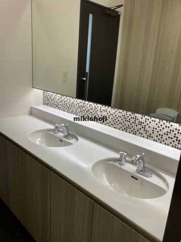 神田神保町のＤａｉｗａ神保町３丁目ビル 水回り3